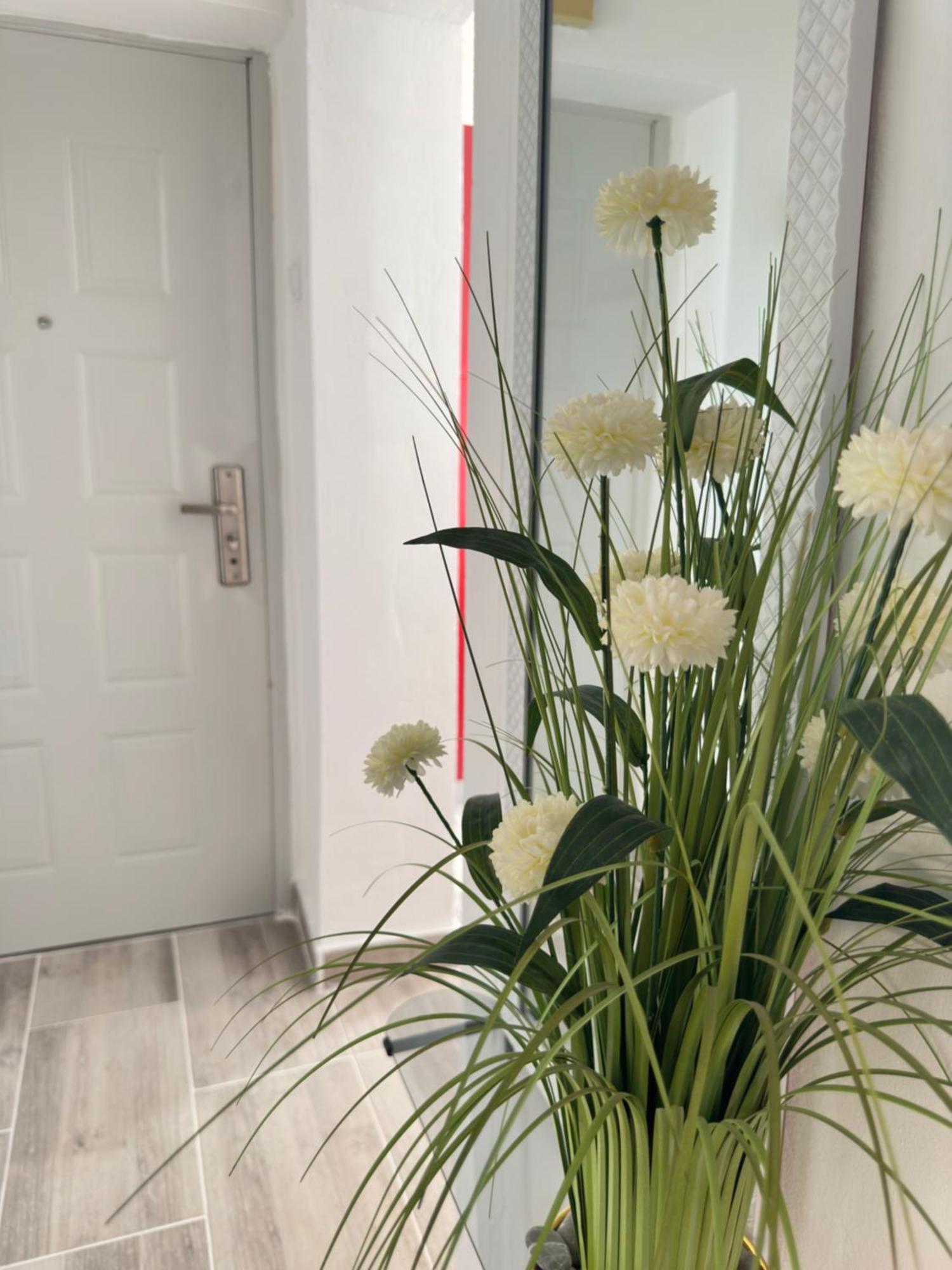 Apartment Maky Zadar Luaran gambar